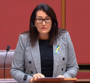 Mercedes-Benz Accused of Misleading the Senate